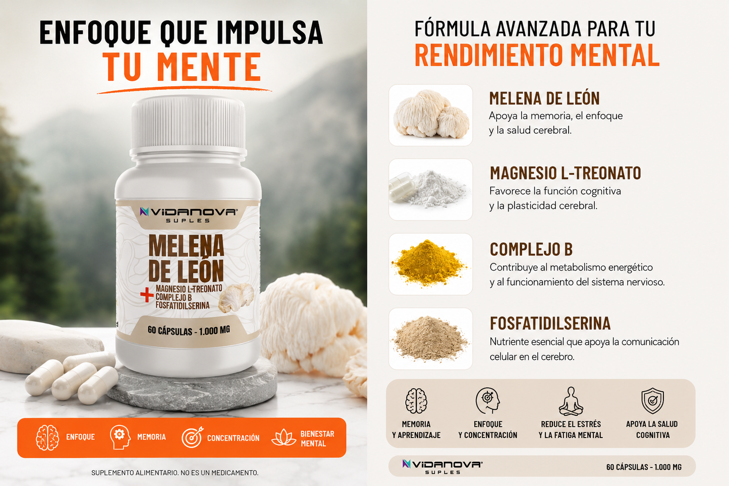 MELENA DE LEON FORTIFICADA